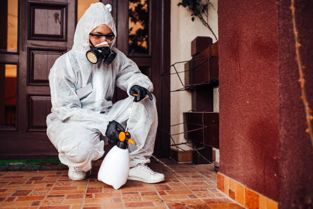 Reliable Cockroach Control contractor in Chinle, AZ by Nex Pest Control
