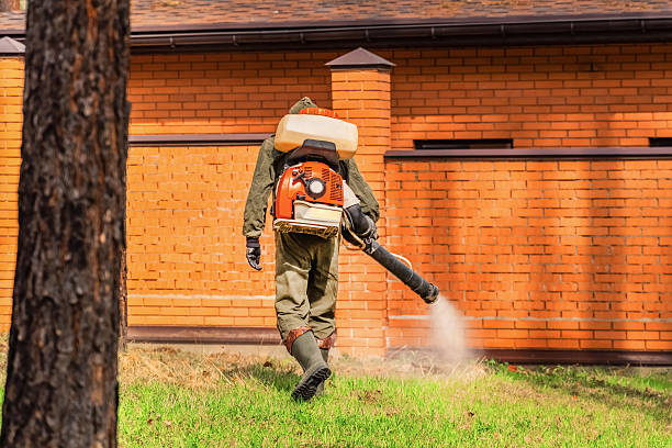 Trusted Ant Control service in Chinle, AZ - Nex Pest Control